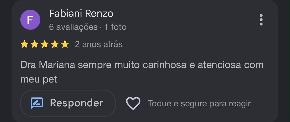 Avaliação de Fabiani Renzo no Google